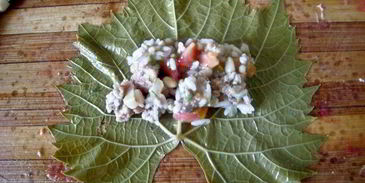 долма с курицей и кедровыми орешками