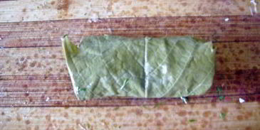 долма с курицей и кедровыми орешками