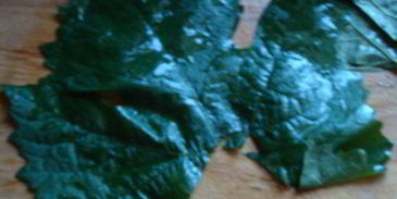 долма в виноградных листьях