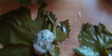 долма в виноградных листьях