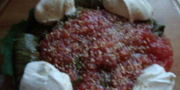 долма в виноградных листьях