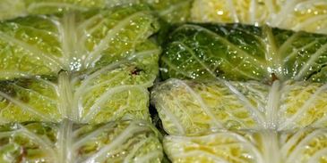 голубцы из савойской капусты богатые