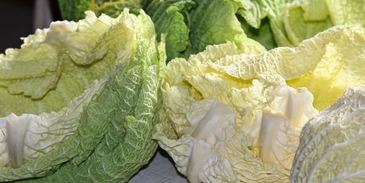 голубцы из савойской капусты богатые