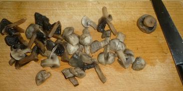 грибы по-корейски