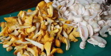 грибы в сливочной заливке