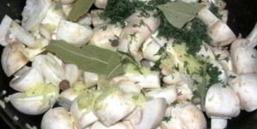 грибы закусочные