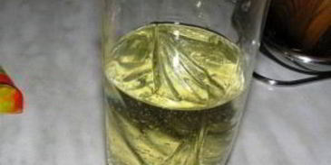 грибы закусочные