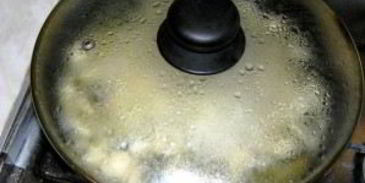 грибы закусочные