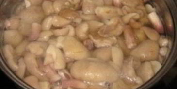 маслята, жареные с луком