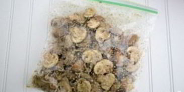 шампиньоны на шпажках