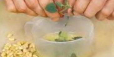 шампиньоны с кедровыми орешками