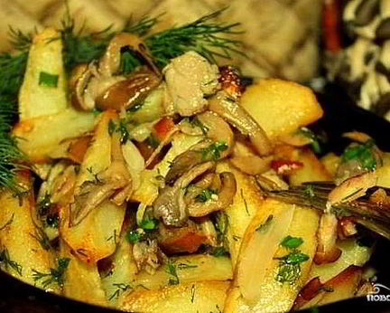 Вешенки, жареные с картошкой