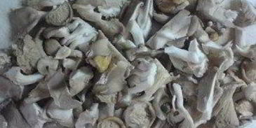 вешенки, жареные с картошкой