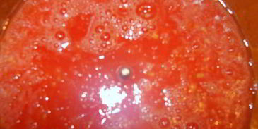 лазанья по-венециански