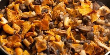 лазанья с грибами