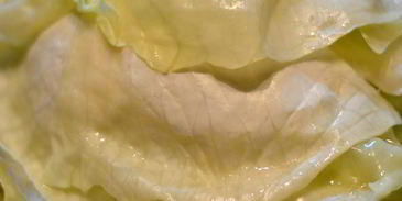 ленивый голубец-лазанья