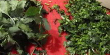 мексиканская лазанья