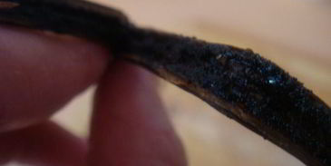 паста под соусом бешамель с мидиями и маринованным лососем