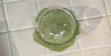 манты с зеленью