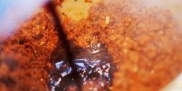 говядина в болонском соусе