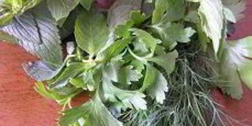 свиная рулька, запеченная на молодых стручках фасоли