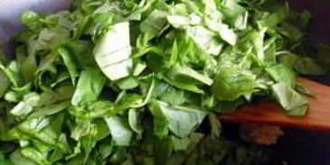 цыпленок на зеленой подушке