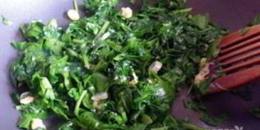 цыпленок на зеленой подушке