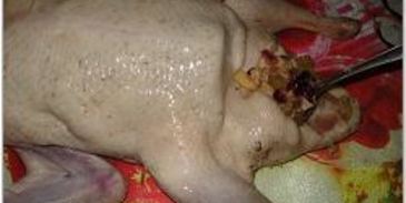 утка, фаршированная свининой и клюквой