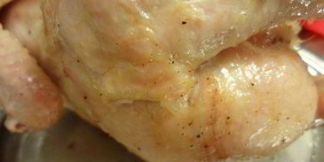 запеченная курица с эстрагоновым соусом