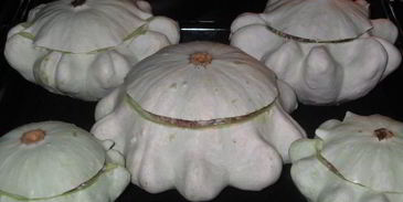 чудо-патиссоны