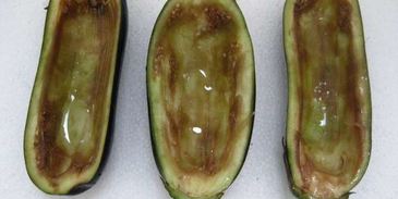 фаршированные баклажаны в мультиварке