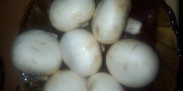 куриная печень эрос