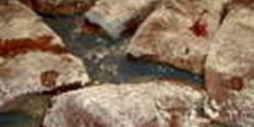 печень телячья по-берлински