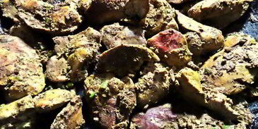 печенка под овощной шубкой