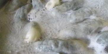 пельмени с крапивой