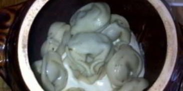 пельмени в горшочках в аэрогриле