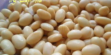 мясное рагу с соевыми бобами и орегано