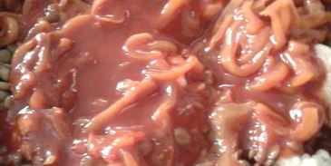 овощное рагу с чечевицей