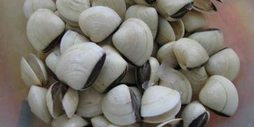 ризотто черное с дарами моря