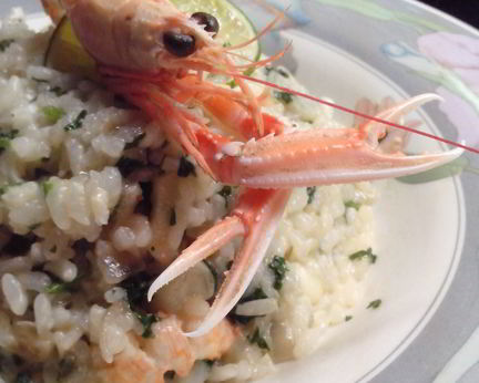 Ризотто с морскими гадами