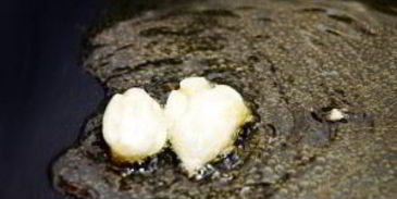 ризотто с сыром