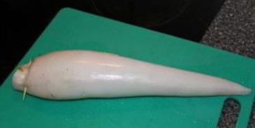 фаршированные тушки кальмаров