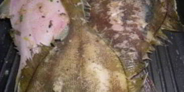 камбала на гриле