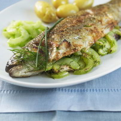 Речная форель