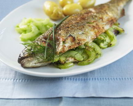 Речная форель