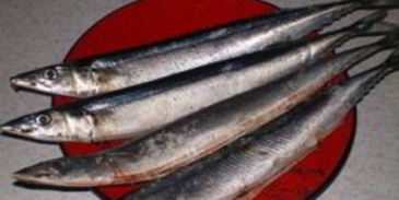 салака горячего копчения