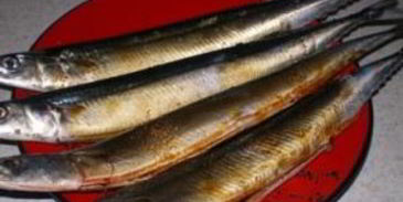 салака горячего копчения