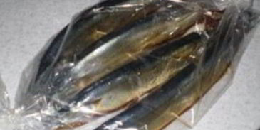 салака горячего копчения