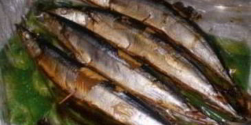 салака горячего копчения