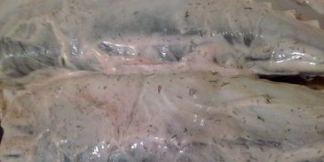 скумбрия, запеченная в пакете